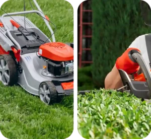 lawn care