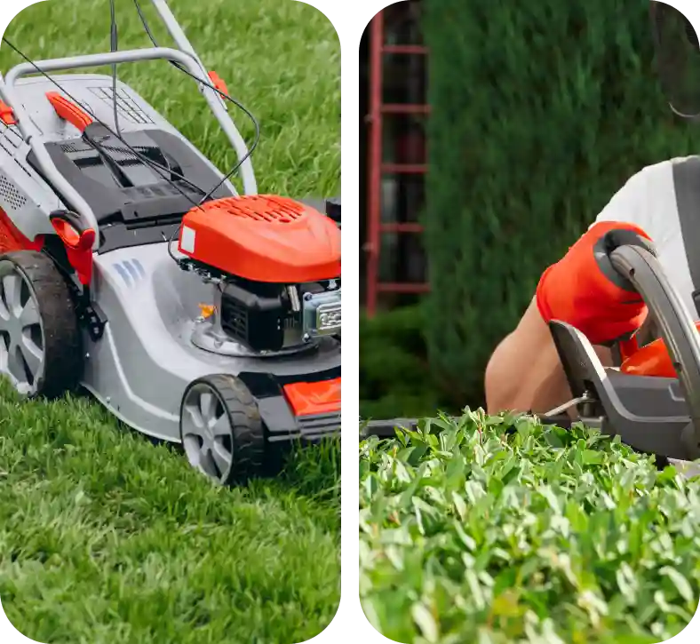 lawn care